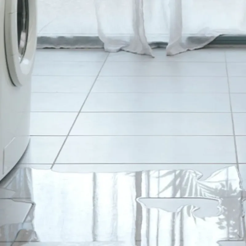 Appliance Leak Cleanup in Green Oaks, IL