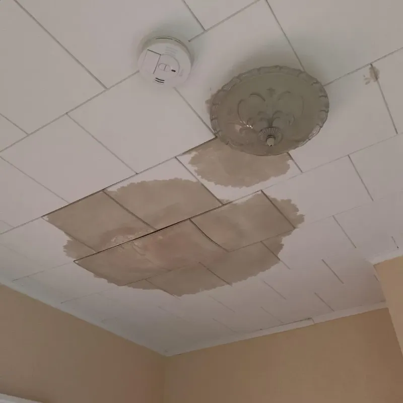 Ceiling Water Damage Repair in Green Oaks, IL