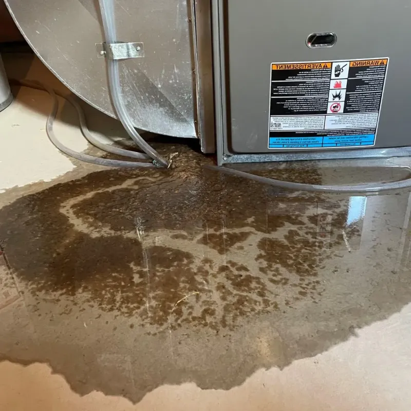 Pipe Burst and Leak Restoration in Green Oaks, IL
