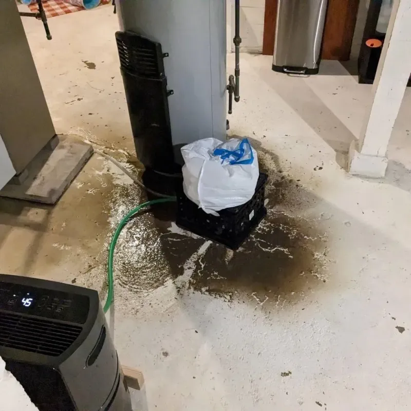 Sewage Backup Cleanup Service in Green Oaks, IL